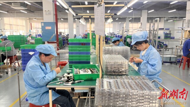 业用小小化妆刷“破圈” 湖南日报不朽情缘正版从沿海到内陆炎陵一企(图4)